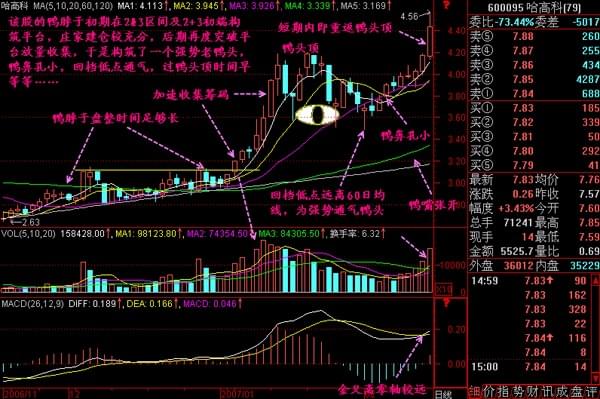长春社会保险局的位置及联系方式